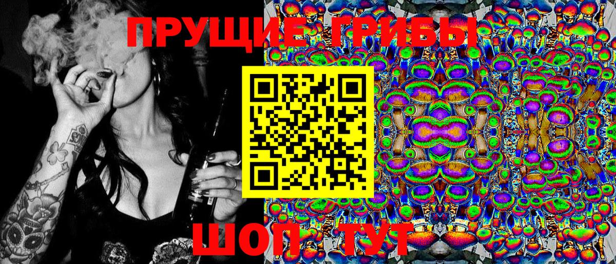 Гурьевск  Псилоцибиновые грибы ЛСД  Вход с VPN 